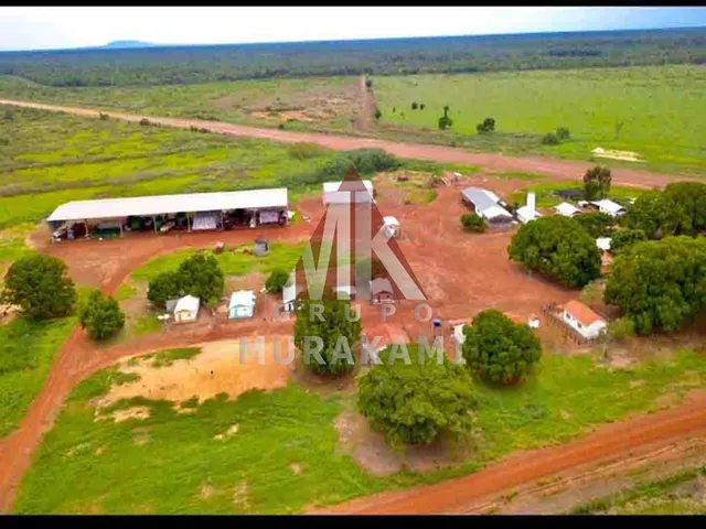 Imagem 16: Fazenda - Confresa - Mato Grosso