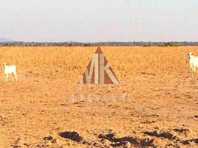 Imagem 4: Fazenda - Confresa - Mato Grosso