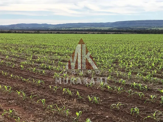 Imagem: Rio Verde - Mato Grosso do Sul