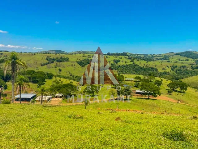 Imagem: Fazenda - Palmital - Paraná