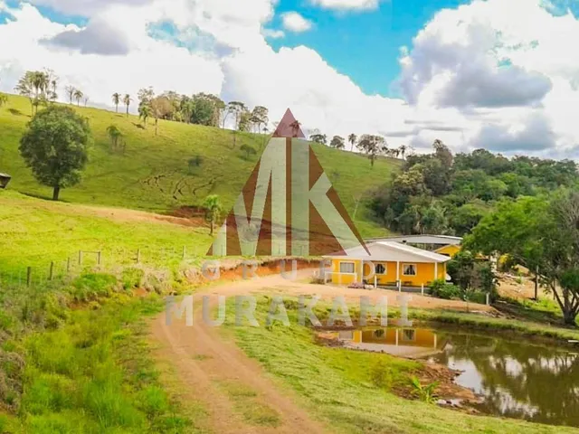 Imagem 12: Fazenda - Palmital - Paraná