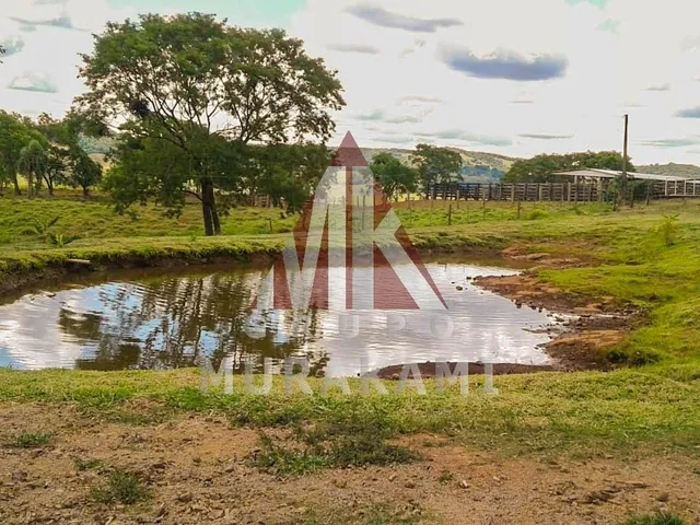 Imagem 15: Fazenda - Palmital - Paraná