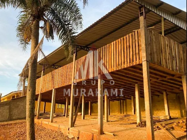 Imagem 13: Fazenda - Palmital - Paraná
