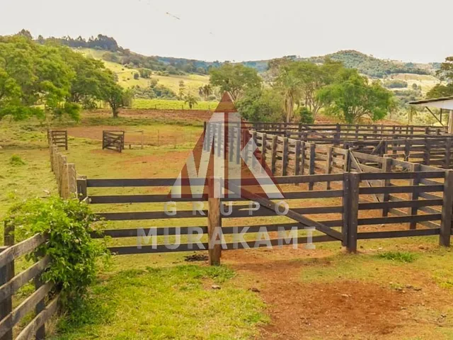 Imagem 7: Fazenda - Palmital - Paraná