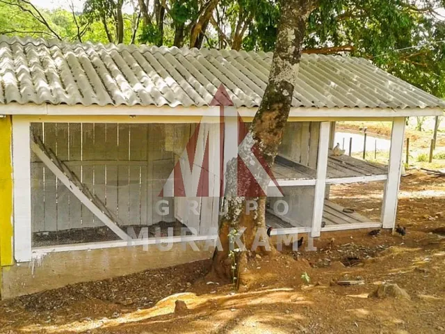 Imagem 11: Fazenda - Palmital - Paraná