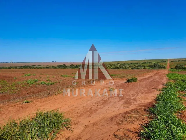 Imagem: Naviraí - Mato Grosso do Sul