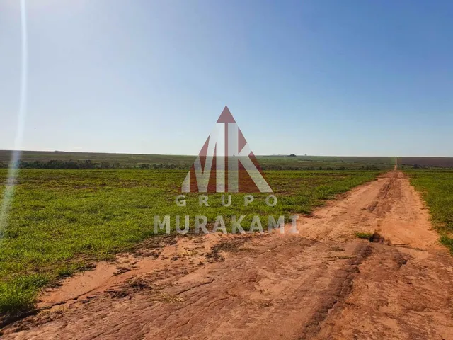 Imagem 3: Naviraí - Mato Grosso do Sul