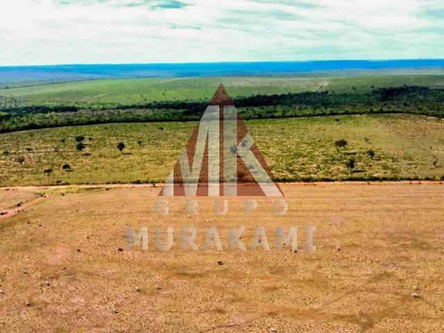 Imagem: Fazenda - Aquidauana - Ms