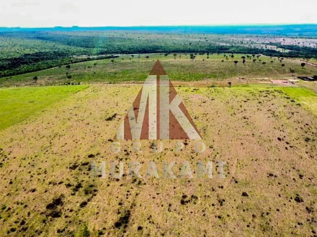 Imagem 3: Fazenda - Aquidauana - Ms