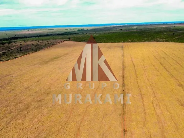 Imagem 6: Fazenda - Aquidauana - Ms