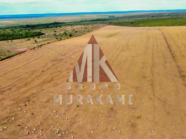 Imagem 13: Fazenda - Aquidauana - Ms