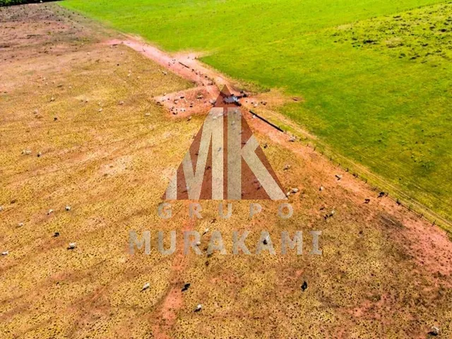 Imagem 5: Fazenda - Aquidauana - Ms