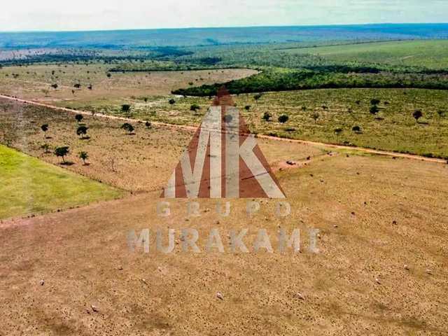 Imagem 8: Fazenda - Aquidauana - Ms