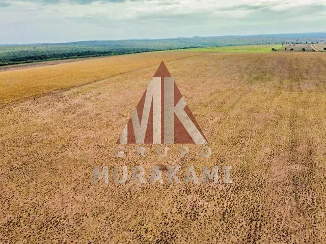 Imagem 12: Fazenda - Aquidauana - Ms