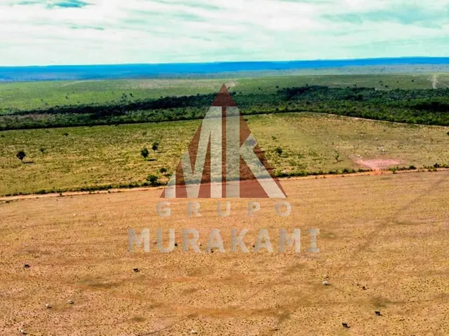 Imagem 11: Fazenda - Aquidauana - Ms