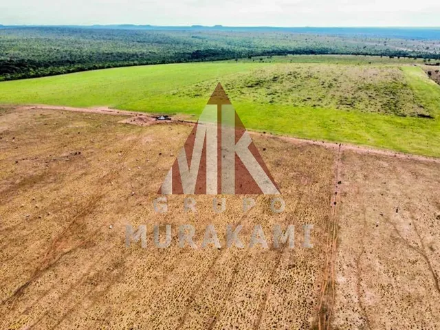 Imagem 4: Fazenda - Aquidauana - Ms
