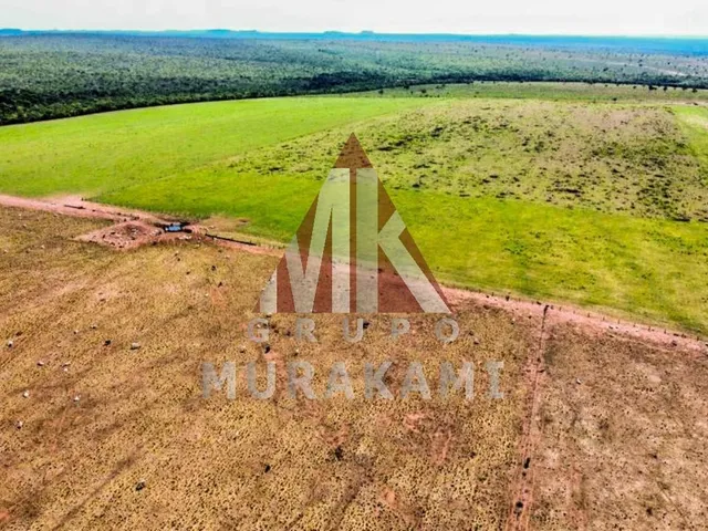 Imagem 14: Fazenda - Aquidauana - Ms