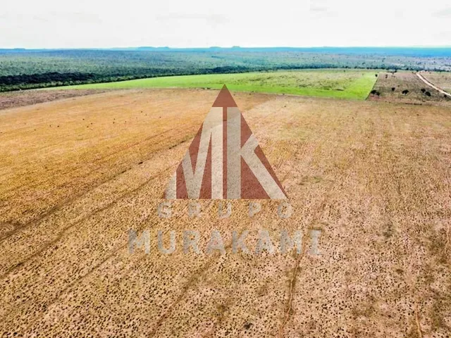 Imagem 7: Fazenda - Aquidauana - Ms
