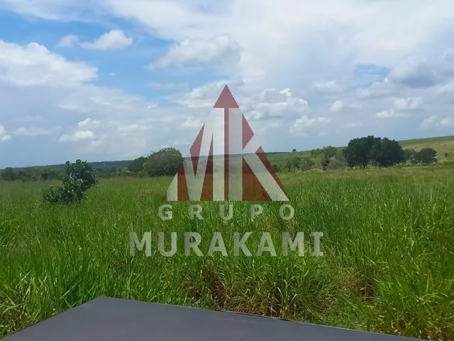 Imagem 6: Fazenda - São Gabriel do Oeste - Ms