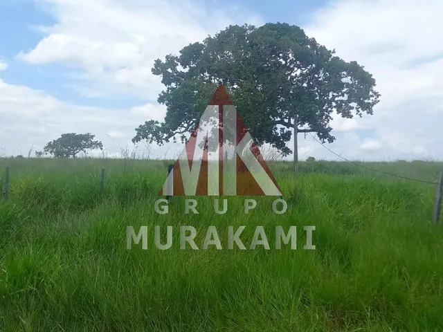 Imagem 14: Fazenda - São Gabriel do Oeste - Ms