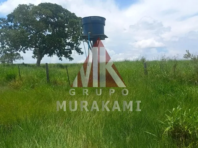 Imagem 8: Fazenda - São Gabriel do Oeste - Ms