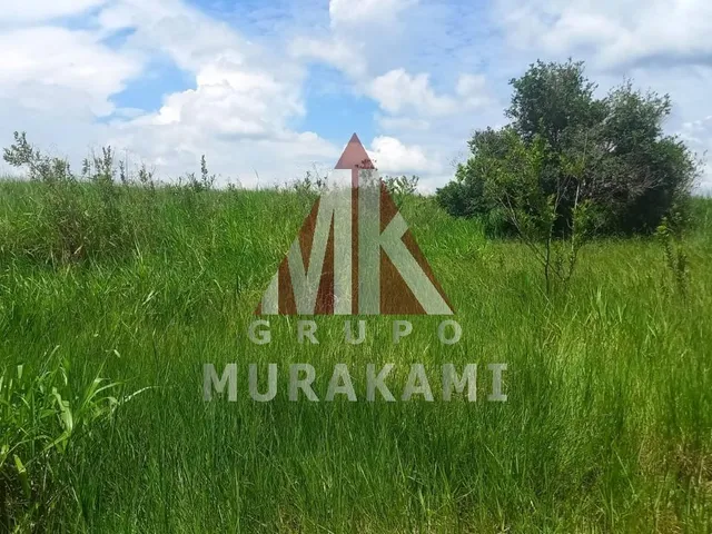 Imagem 7: Fazenda - São Gabriel do Oeste - Ms