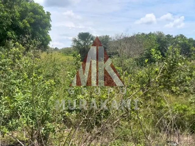 Imagem 2: Fazenda - São Gabriel do Oeste - Ms