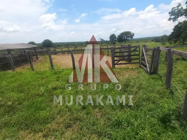 Imagem 11: Fazenda - São Gabriel do Oeste - Ms