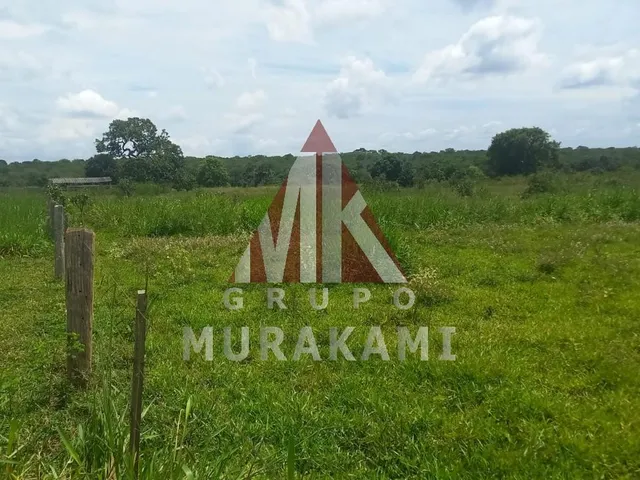 Imagem 4: Fazenda - São Gabriel do Oeste - Ms