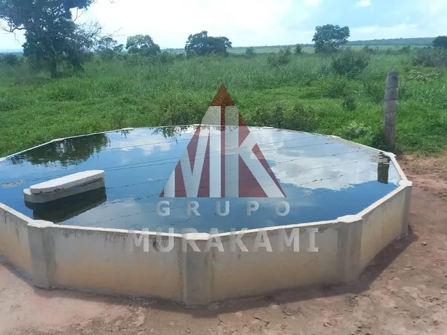 Imagem 12: Fazenda - São Gabriel do Oeste - Ms