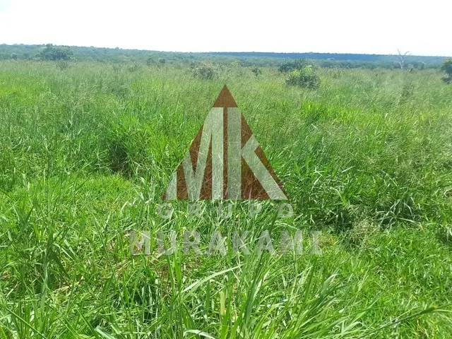 Imagem 5: Fazenda - São Gabriel do Oeste - Ms