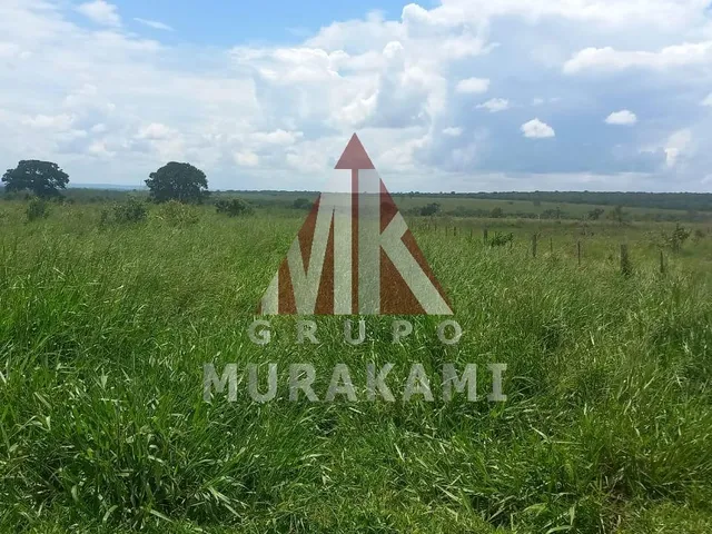 Imagem 9: Fazenda - São Gabriel do Oeste - Ms
