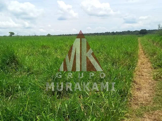 Imagem 3: Fazenda - São Gabriel do Oeste - Ms