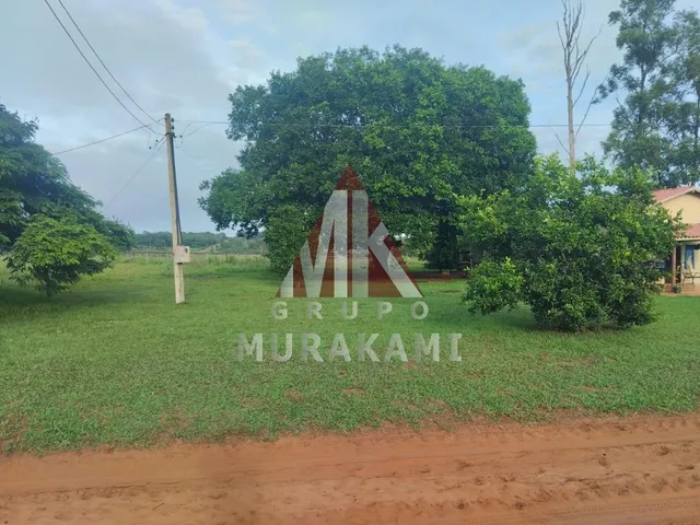 Imagem: Fazenda - Campo Grande - Ms