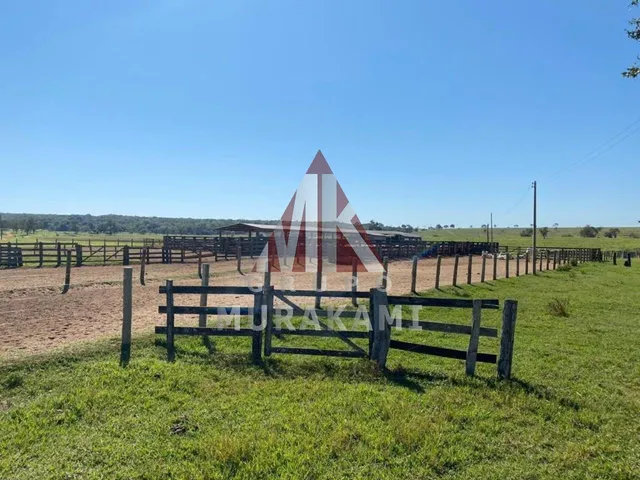 Imagem 8: Fazenda - Brasilândia - Ms