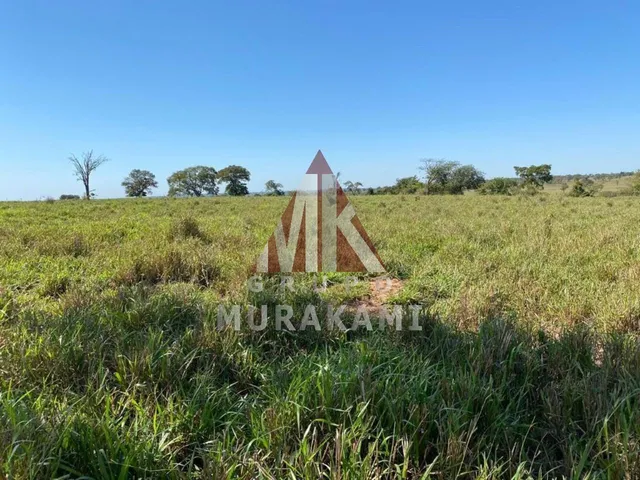 Imagem 2: Fazenda - Brasilândia - Ms