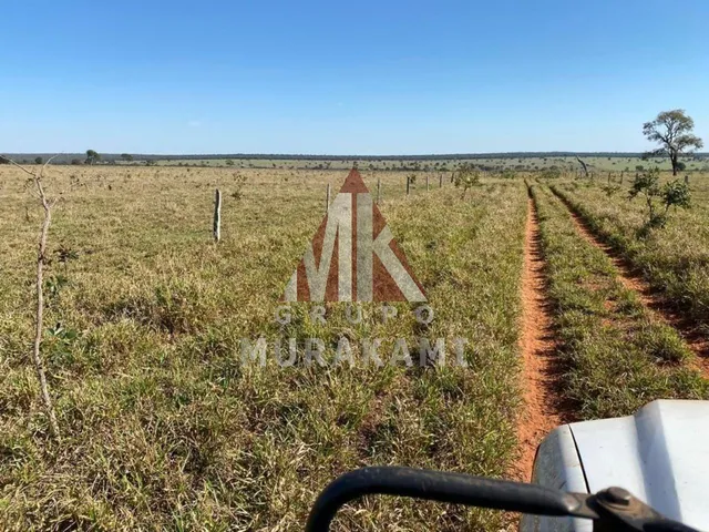 Imagem 6: Fazenda - Brasilândia - Ms