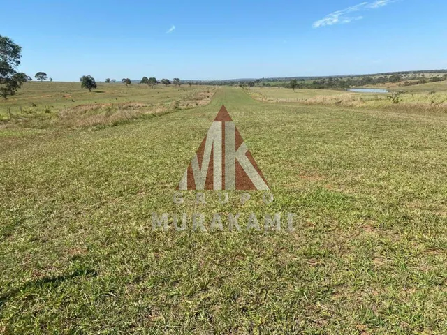 Imagem 4: Fazenda - Brasilândia - Ms