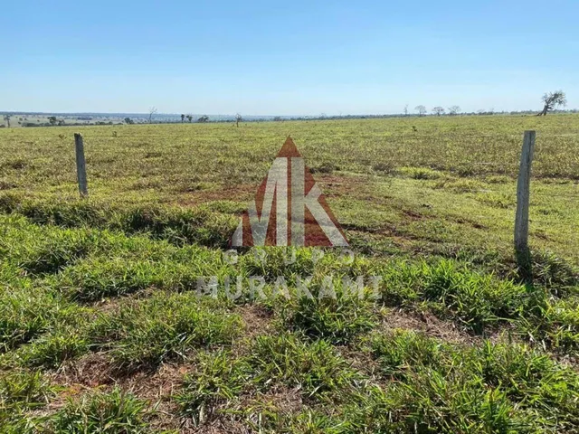 Imagem 9: Fazenda - Brasilândia - Ms