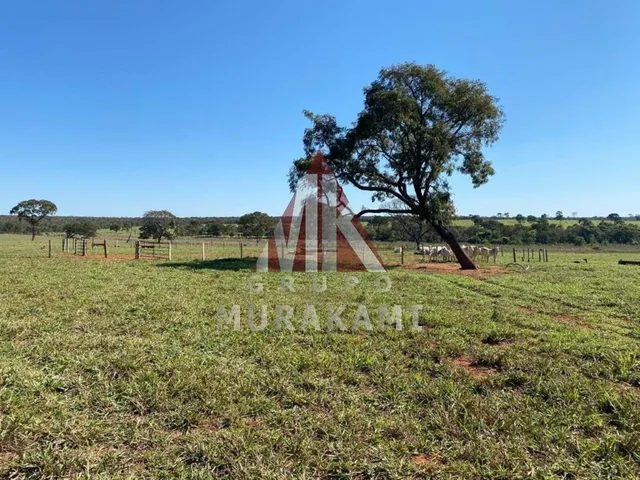 Imagem 5: Fazenda - Brasilândia - Ms
