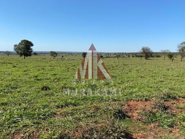 Imagem 7: Fazenda - Brasilândia - Ms