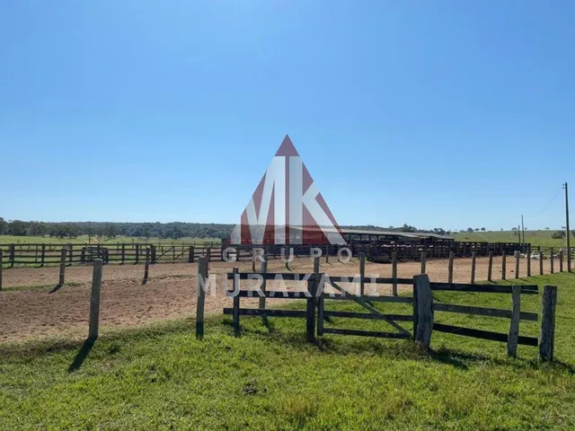 Imagem 3: Fazenda - Brasilândia - Ms