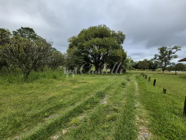 Imagem 2: Excelente Terreno para À Venda, na Cidade de Palmeira - Paraná