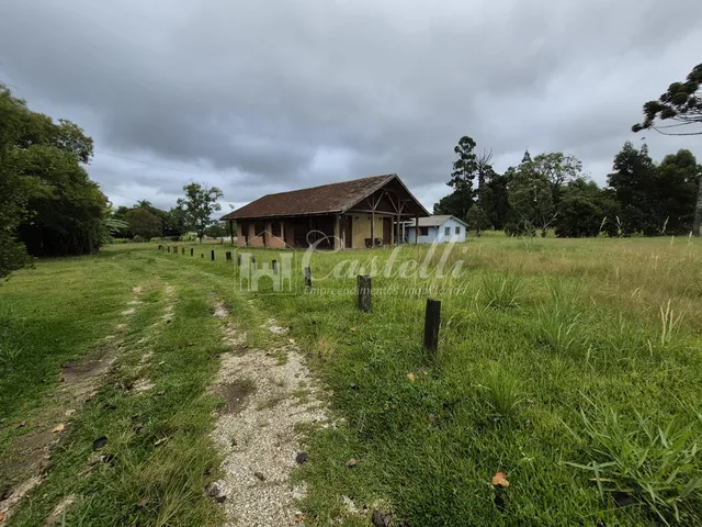 Imagem 4: Excelente Terreno para À Venda, na Cidade de Palmeira - Paraná
