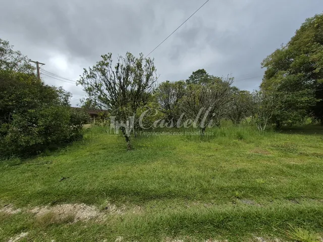 Imagem 5: Excelente Terreno para À Venda, na Cidade de Palmeira - Paraná