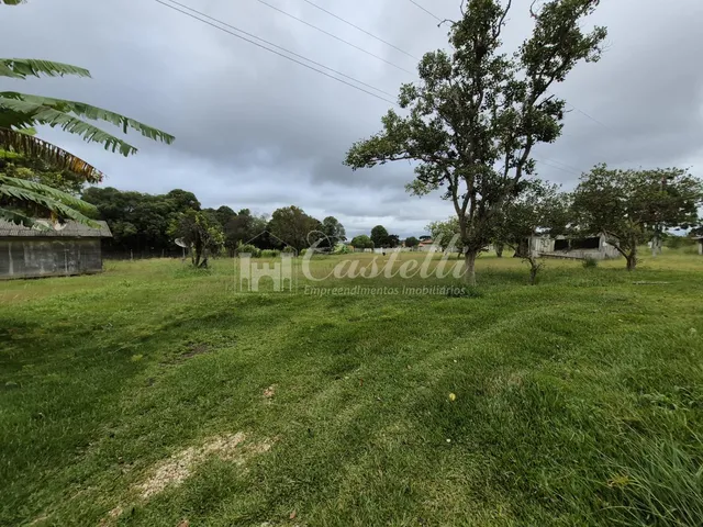 Imagem 6: Excelente Terreno para À Venda, na Cidade de Palmeira - Paraná