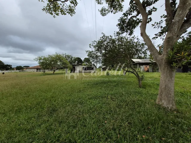 Imagem 8: Excelente Terreno para À Venda, na Cidade de Palmeira - Paraná