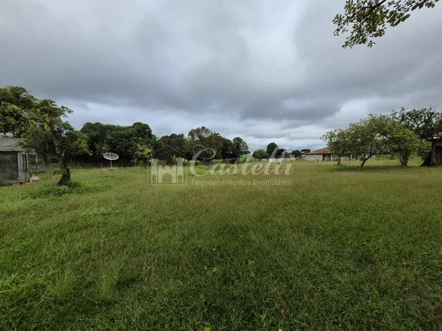 Imagem 9: Excelente Terreno para À Venda, na Cidade de Palmeira - Paraná