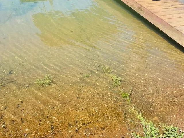 Imagem 13: Linda Chácara a Beira da Represa de Igaratá ( Pé na Agua ) , no Condominio Porto Alpina em Igarata - Sp