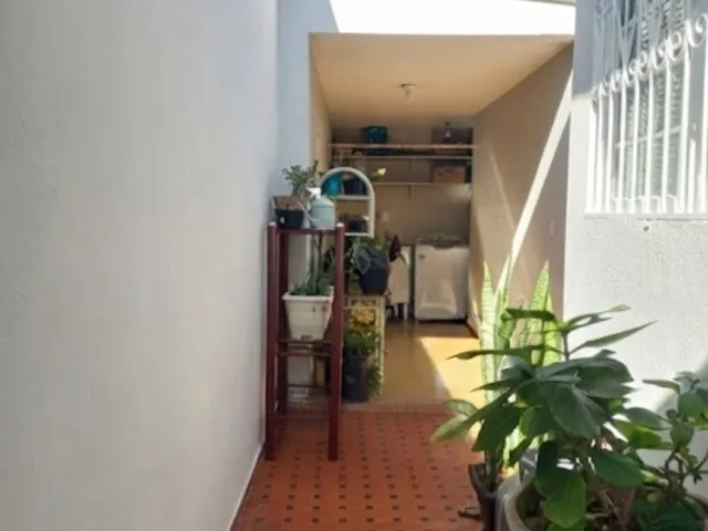 Imagem 4: 0 Casa com 4 dormitórios